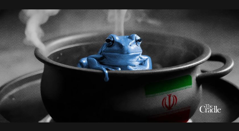 چگونه ایرانی ها قورباغه را می‌پزند؟  آهسته و روشمند.